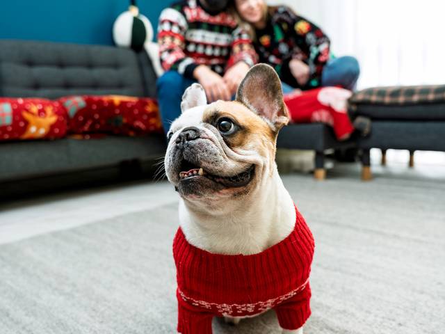 Sessão Estudio de Xmas 2025