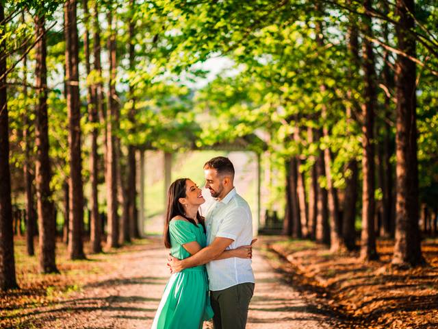 Ensaios de Pré casamento Aline & Pedro