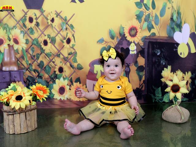 ACOMPANHAMENTO MENSAL de MAYA 8 MESES