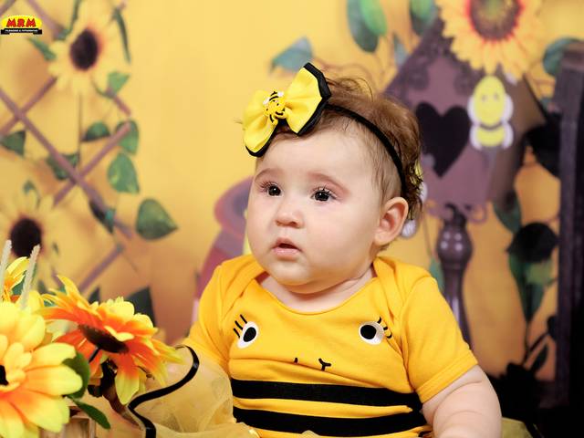 ACOMPANHAMENTO MENSAL de HELENA 6 MESES