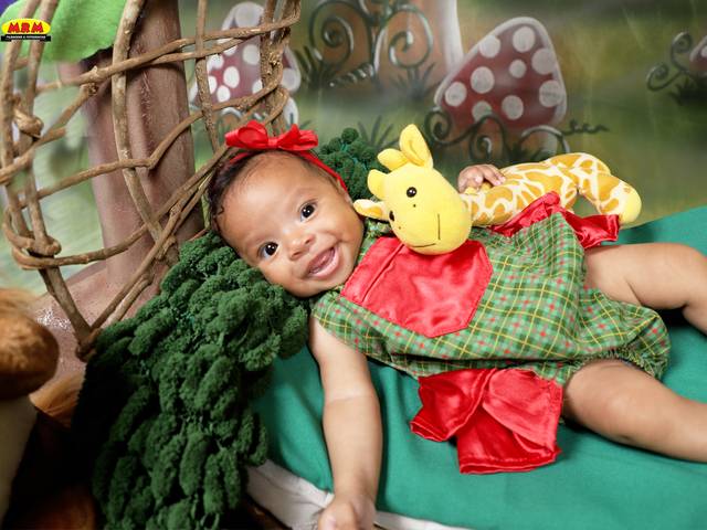 ACOMPANHAMENTO MENSAL de LIZ 2 MESES