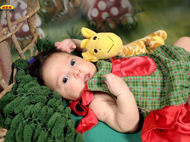 ACOMPANHAMENTO MENSAL de Eloise