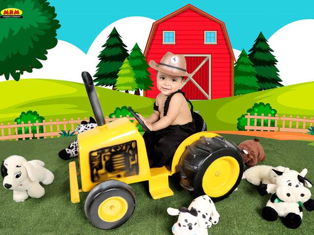 ACOMPANHAMENTO MENSAL de LUIZ OTÁVIO  MESES