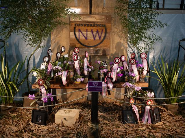EVENTO de 10ª CONFERÊNCIA NW - ORQUÍDEA