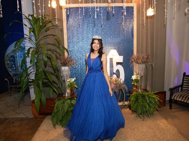 ANIVERSÁRIO de LAVINIA 15 ANOS