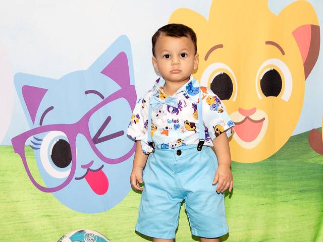 ACOMPANHAMENTO MENSAL de LORENZO 1 ANO