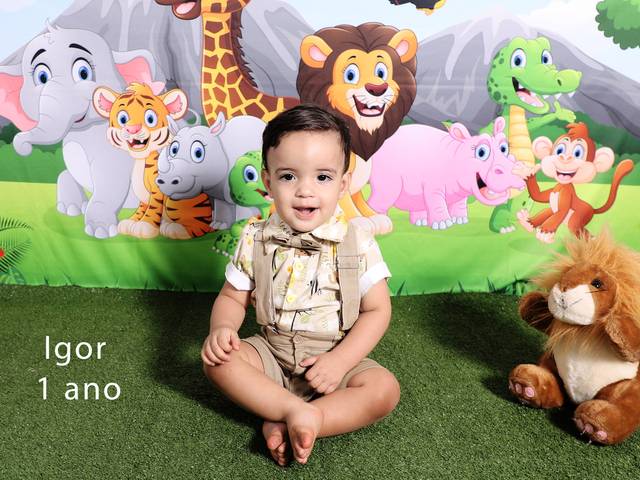 ACOMPANHAMENTO MENSAL de IGOR 1 ANO