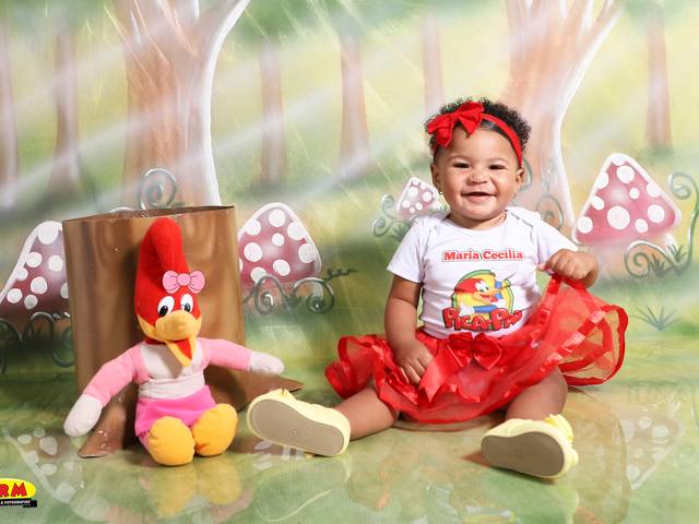 ACOMPANHAMENTO MENSAL de MARIA CECÍLIA 1 ANO