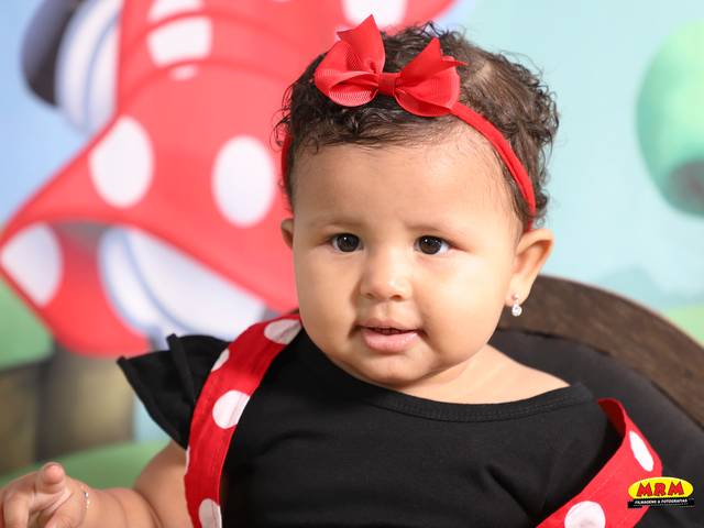 ACOMPANHAMENTO MENSAL de ANNA LIZ 11 MESES