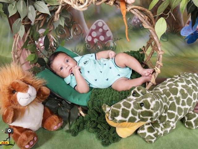 ACOMPANHAMENTO MENSAL de LUIZ OTÁVIO 1 MÊS