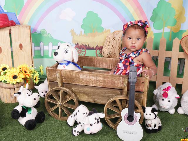 ACOMPANHAMENTO MENSAL de VALENTINA  9 MESES