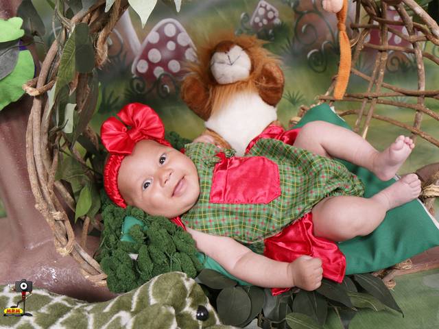 ACOMPANHAMENTO MENSAL de LUIZA 2 MESES