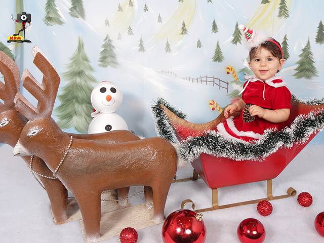 ACOMPANHAMENTO MENSAL de LUISA 11 MESES