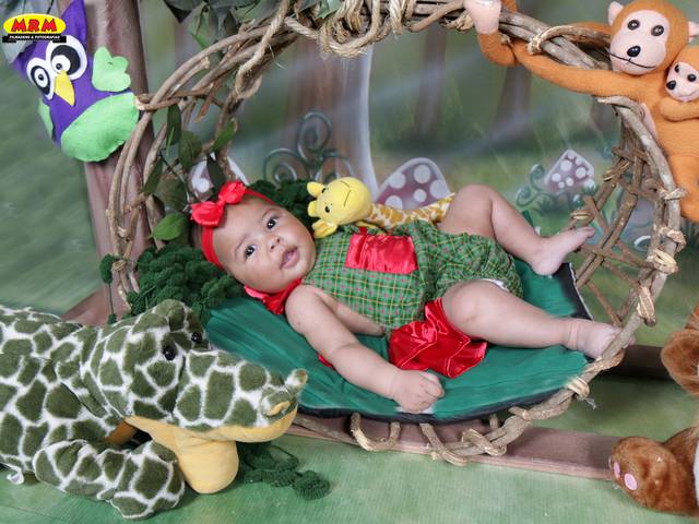 ACOMPANHAMENTO MENSAL de LIZ 3 MESES