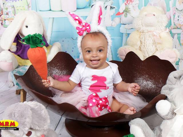 ACOMPANHAMENTO MENSAL de ELISA 11 MESES