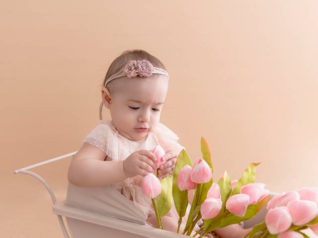 acompanhamentos de Ana clara