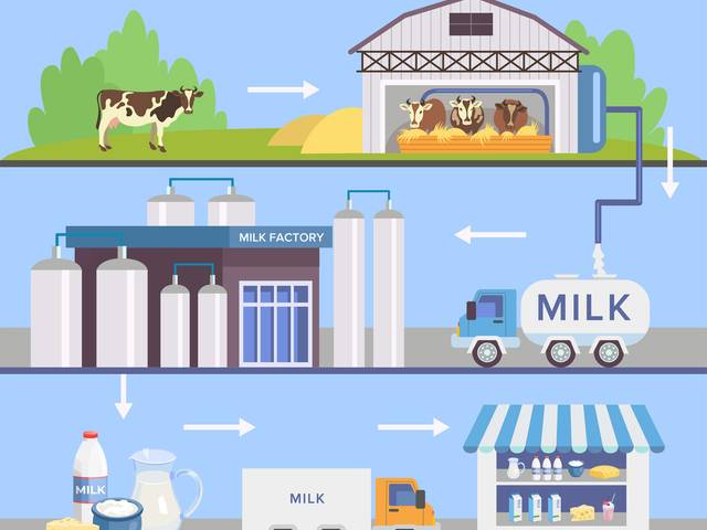 MILK of Cow Farm In Chennai