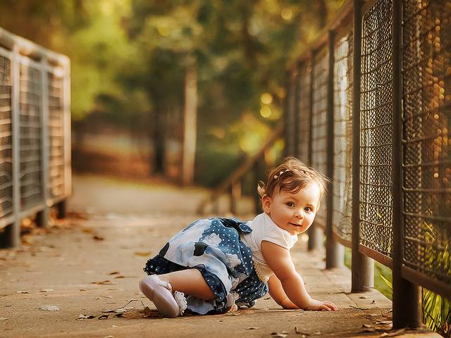 Infantil de Primeiro aninho da Liz