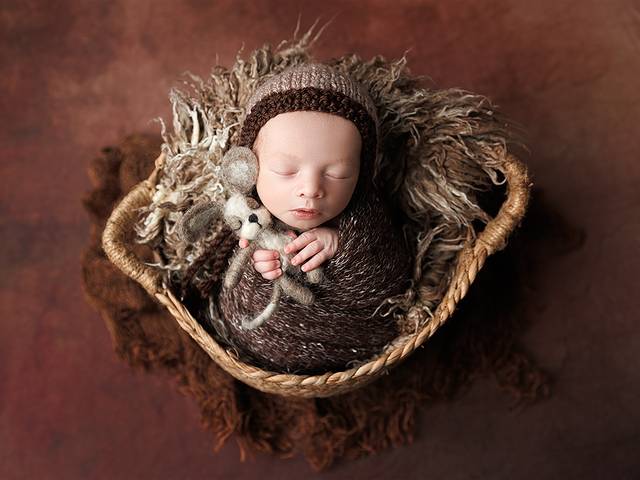 Newborn de Ensaio Newborn do Luca