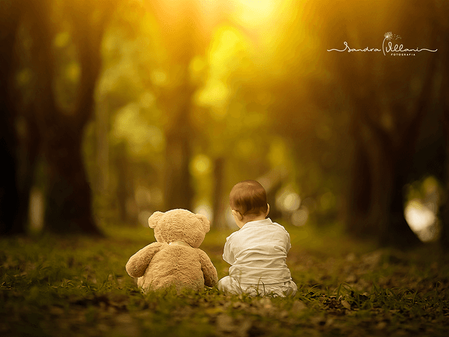 Infantil de Ensaio Família Noah