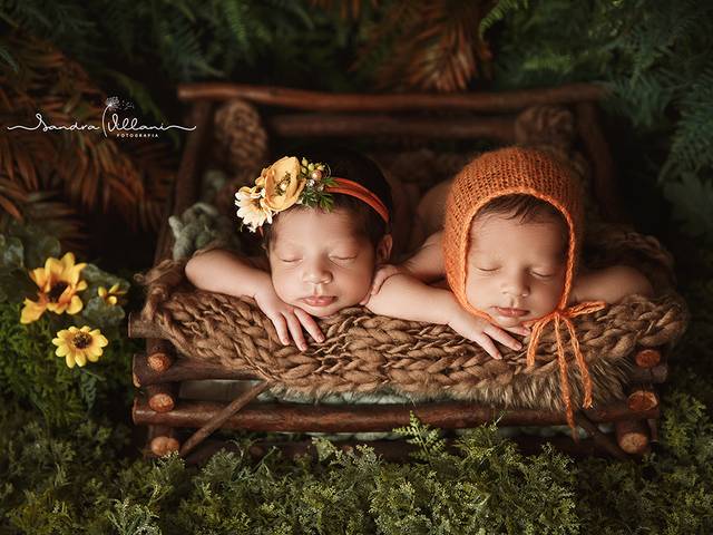 Newborn de Ensaio Newborn Gêmeos Elisa e Pedro