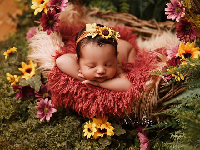 Newborn de Ensaio Elisa - 8 dias