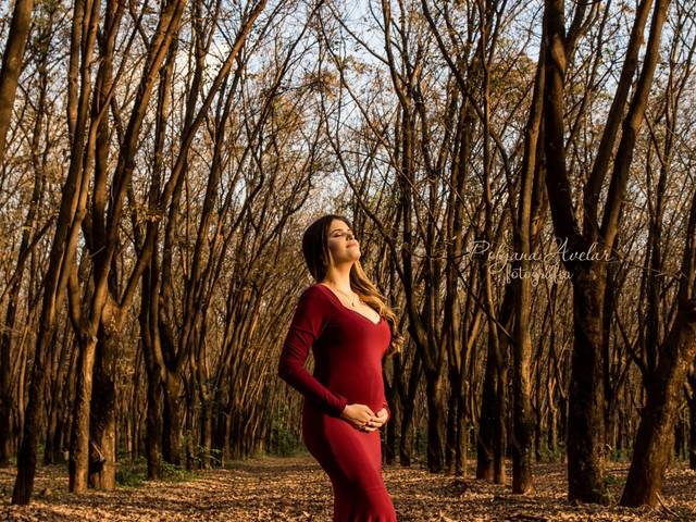 Gestante de Ensaio gestante Letícia
