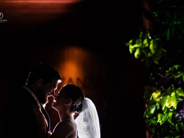 Casamentos de Casamento Cecília e Ricardo