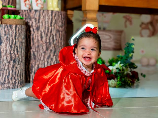 Aniversário Infantil de Cecília 1 ano - Aniversário Infantil