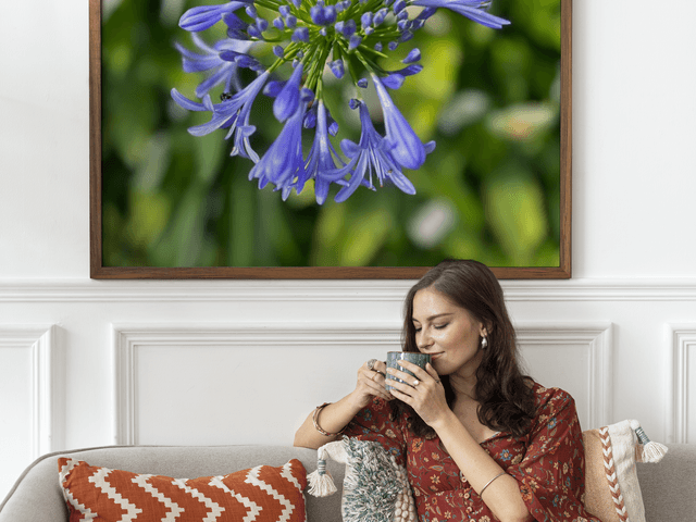 Na Parede de Na Parede