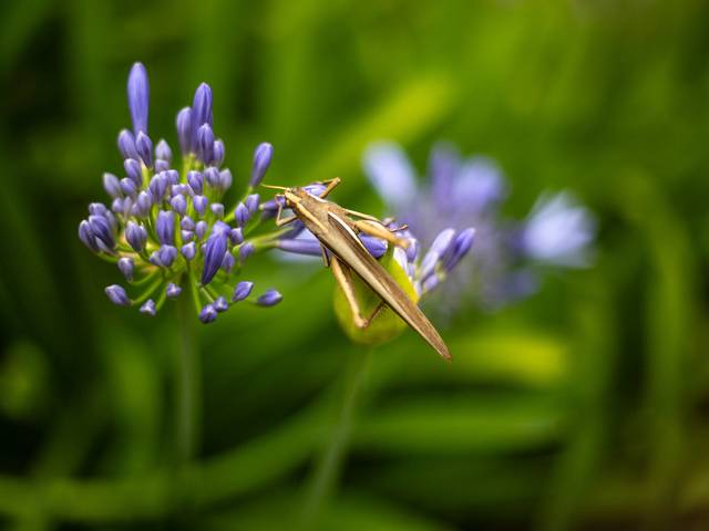 Natureza de Natureza