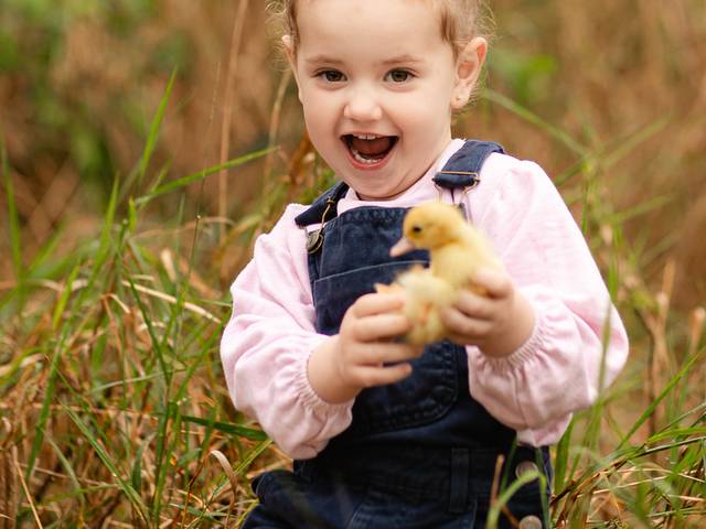 Ensaio Infantil de Laura 3 anos