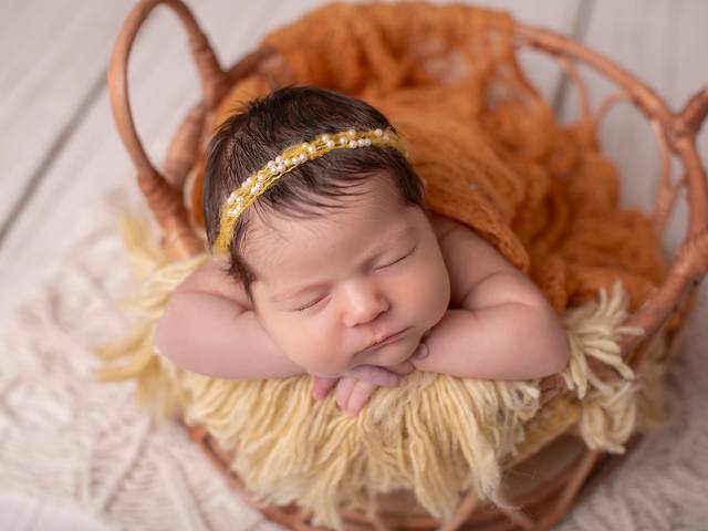 Newborn de Ensaio Newborn Nicole