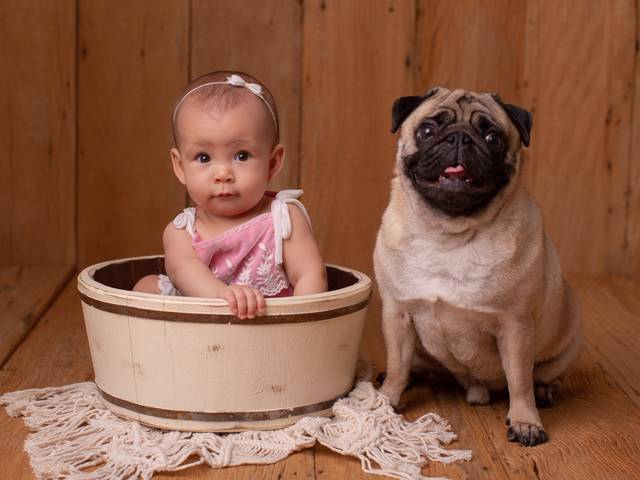 Bebê de Ensaio Bebê Helena