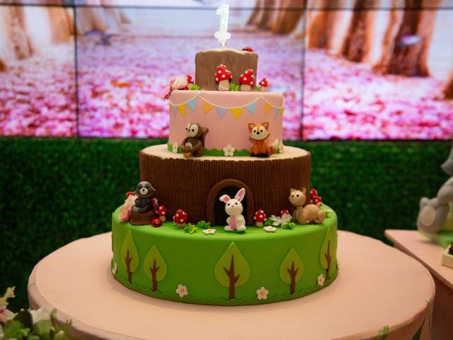 Eventos e Festas de 1 Ano Olivia