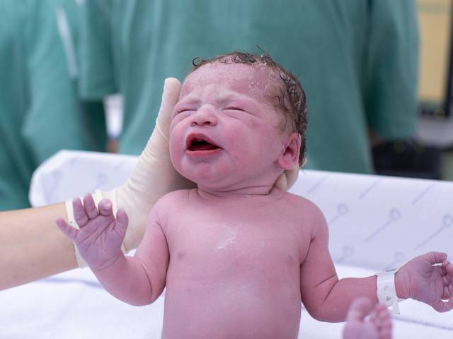 Registro de Parto de Registro de Parto Julia