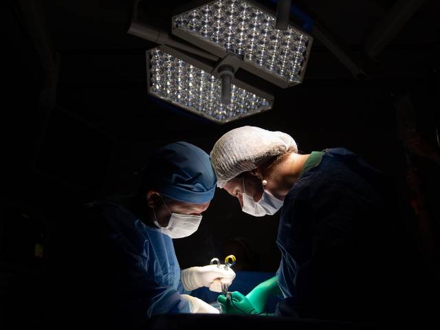 Registro de Parto de Registro de Parto Maria Laura