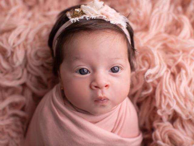 Newborn de Ensaio Newborn Eva