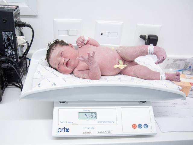 Registro de Parto de Registro de Parto Julia 