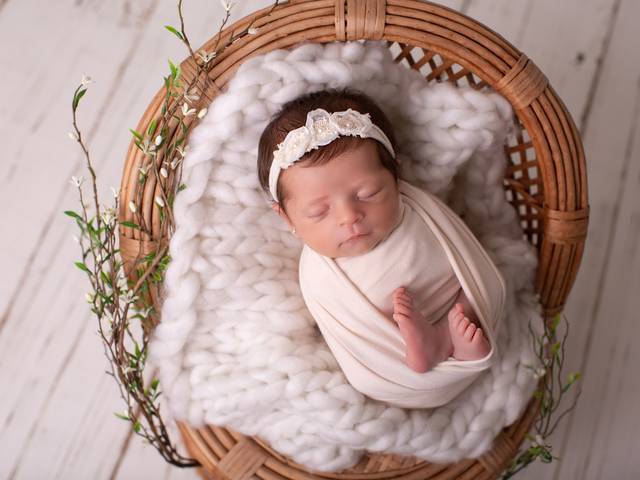 Newborn de Ensaio Newborn Lindsay