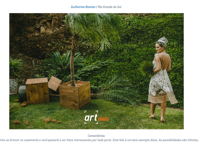 Premiação de Artista da Coleção | Fine Art | Round 8