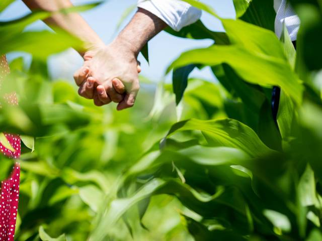 Engage de Teresa + Raul