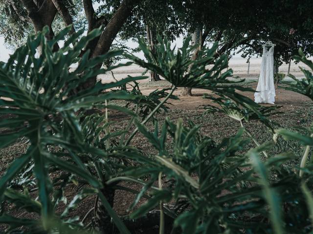 CASAMENTOS de Ana & Henrique