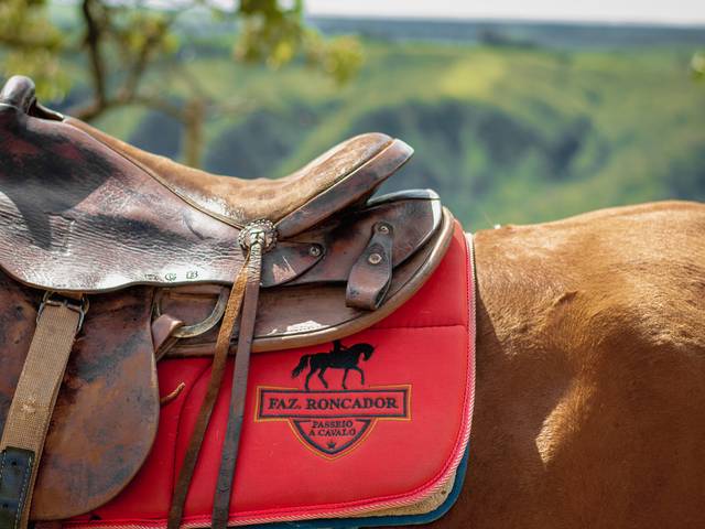 Turismo de Fazenda Roncador