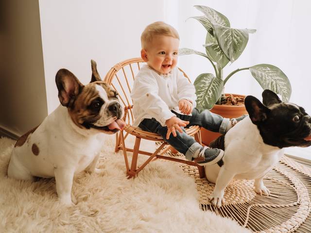 Smash - 1 aninho de Martin