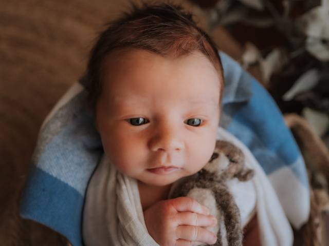 Newborn de NEWBORN LUCCA