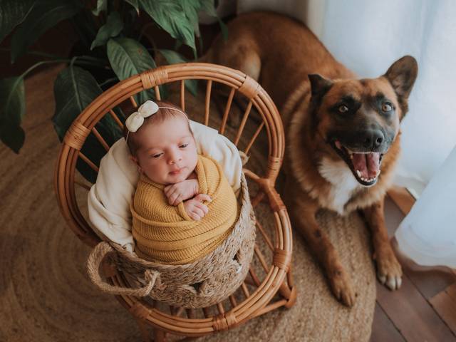 Newborn de NEWBORN SOPHIA