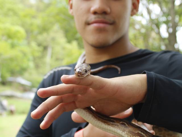 Viagem de Viagem Brotas