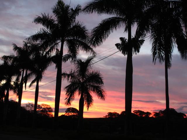 Diversos de Por do sol