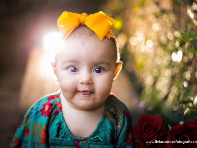 ACOMPANHAMENTOS de ÁUREA  08 MESES